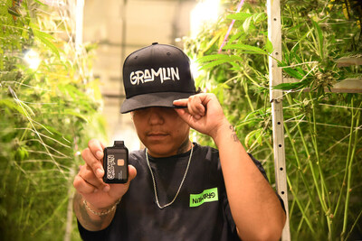 Gramlin Disposable Vapes